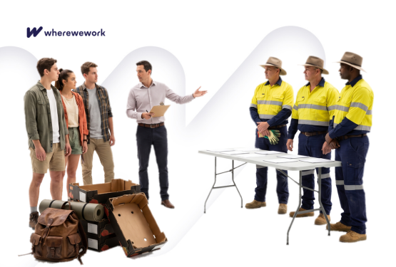 Working holiday visa slowdown splits Australian labour debate